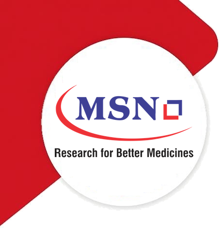 MSN logo