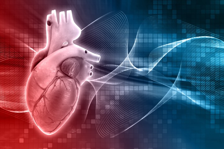Evaluating the dual-energy Thermocool SmartTouch SF catheter in the treatment of atrial fibrillation